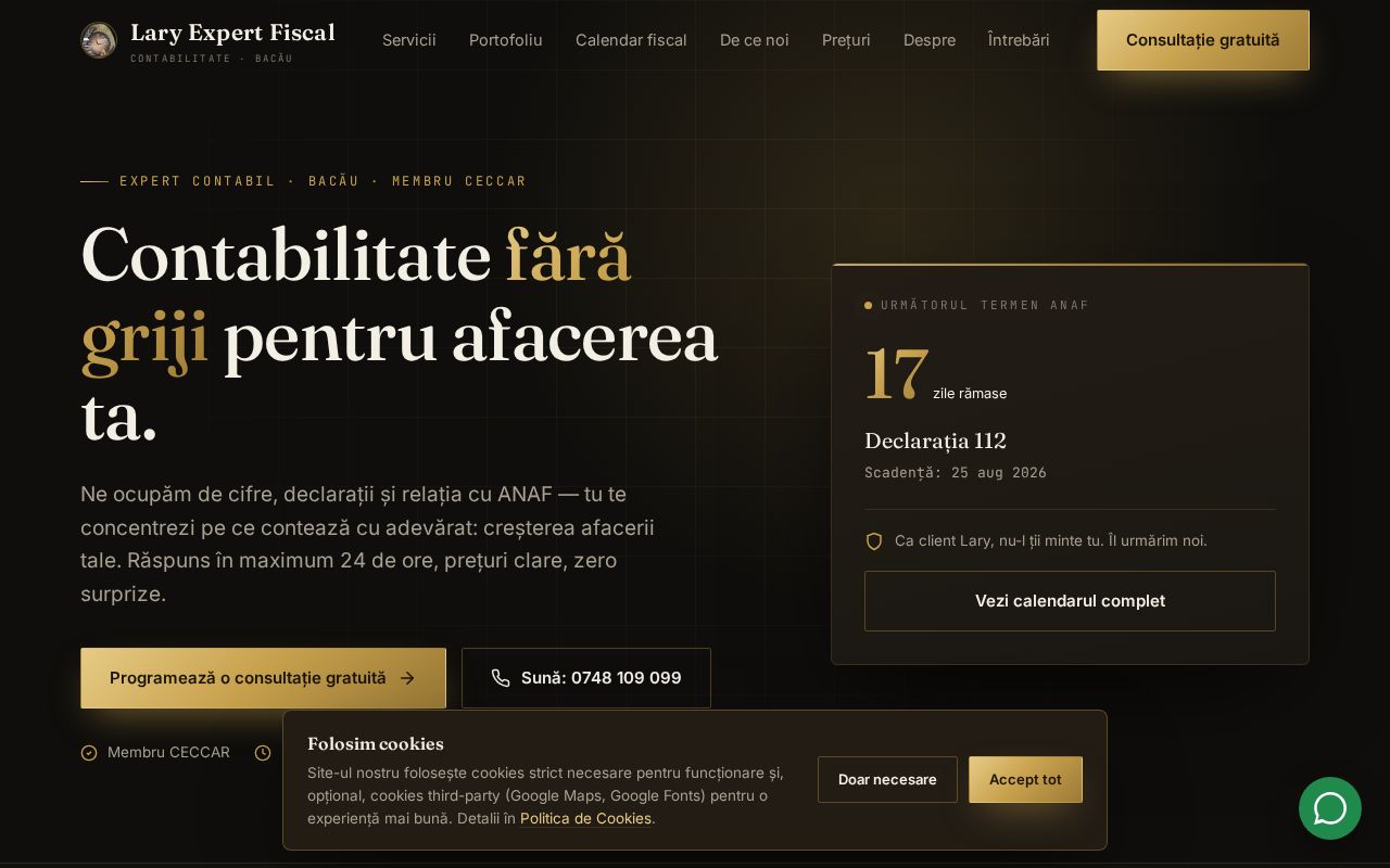 Site-ul Lary Expert Fiscal